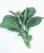 Green Tsoi Sim Vegetable Seeds for Planting, heirloom & Non-GMO Seeds